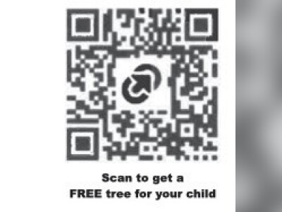 FREE TREES FOR KIDS