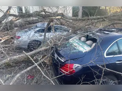 NOT A MICROBURST OR DERECHO